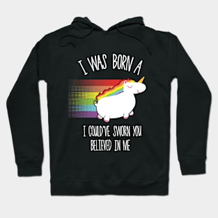 I Was Born (A Unicorn) 2 Hoodie